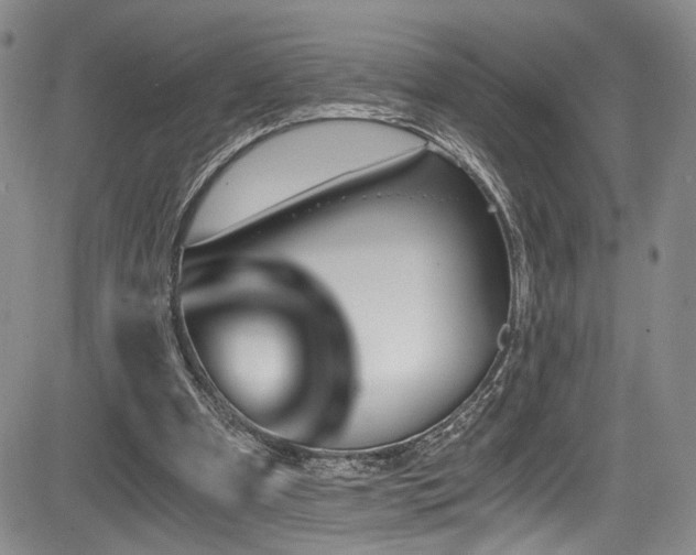 X0000084040297200702161441