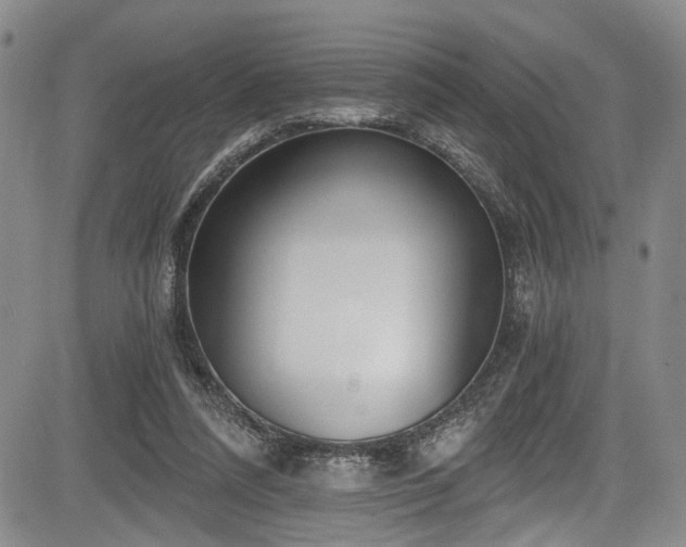 X0000084040304200702161441
