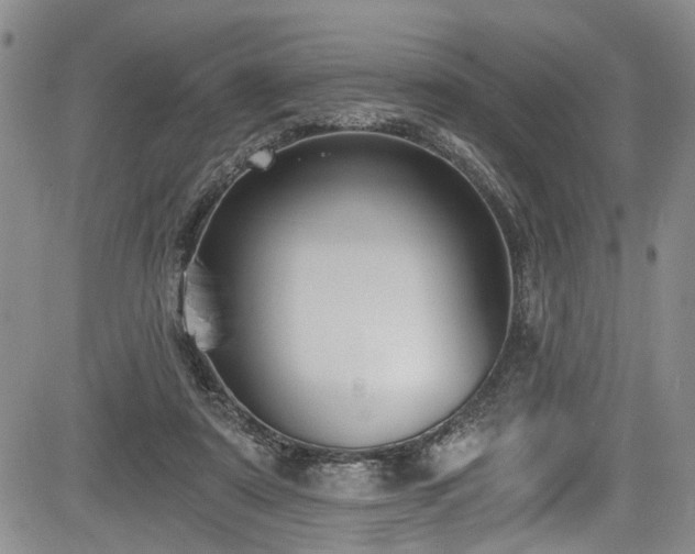 X0000084040307200702161441