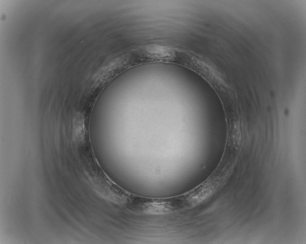 X0000084040320200702161441