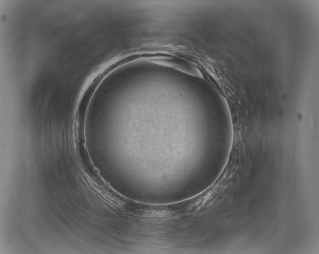 X0000084040342200702161440