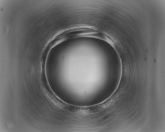 X0000084040350200702161440