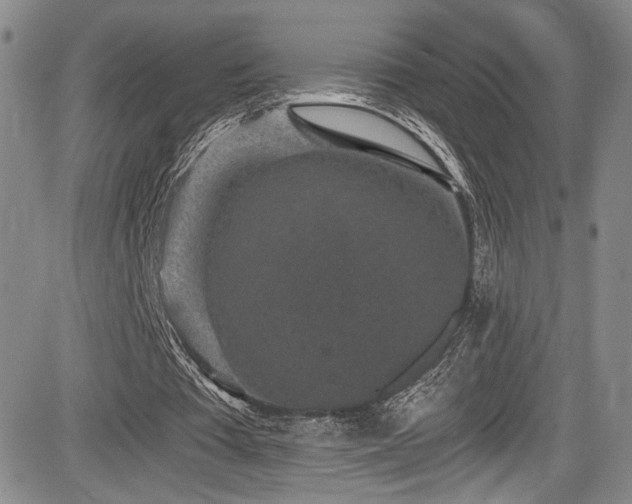 X0000084040385200702161440