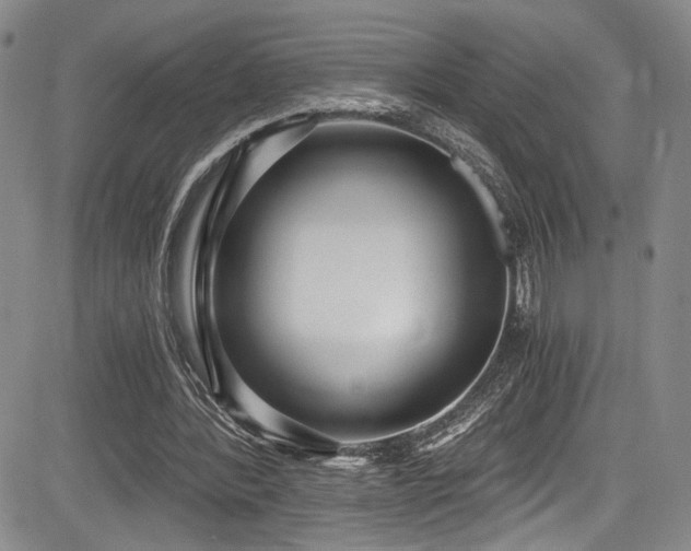 X0000084040388200702161440