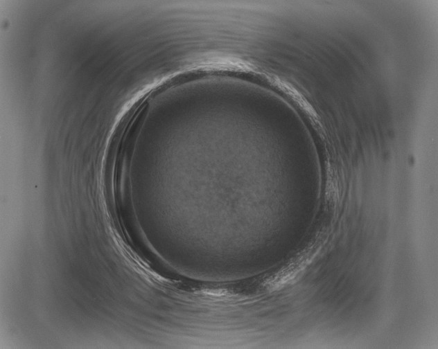 X0000084040391200702161440
