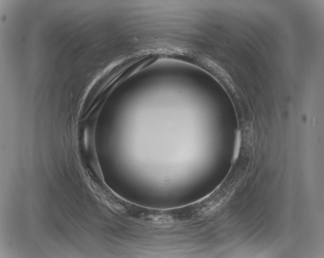 X0000084040395200702161440
