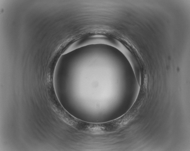 X0000084040407200702161439