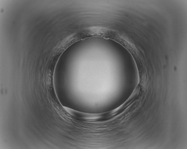 X0000084040413200702161439