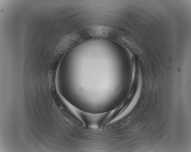 X0000084040416200702161439