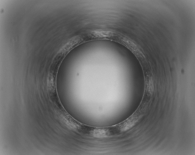 X0000084040418200702161439