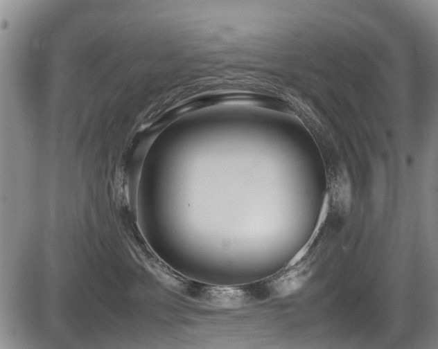 X0000084040429200702161439