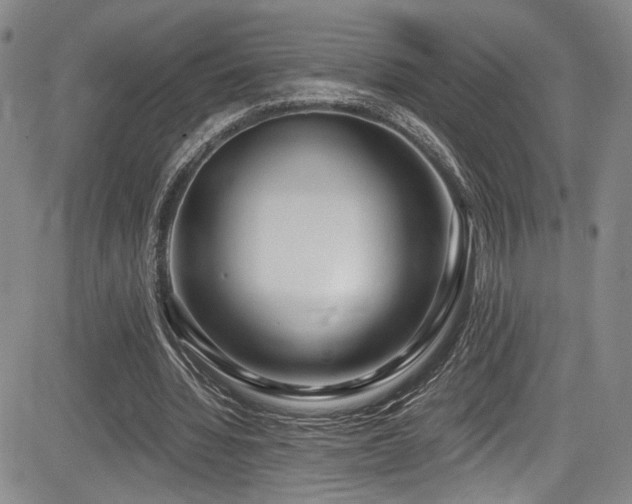 X0000084040436200702161438