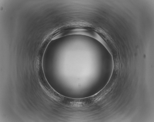 X0000084040448200702161438