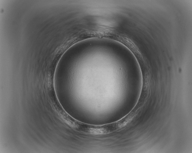 X0000084040457200702161439