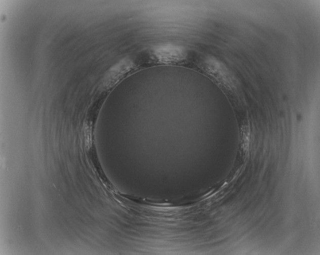 X0000084040471200702161439