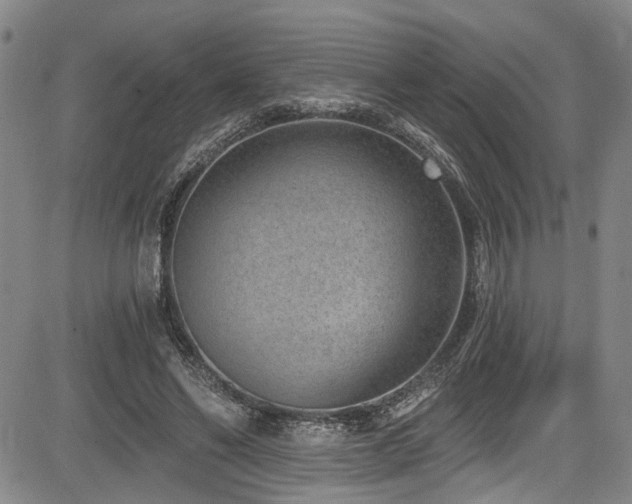 X0000084040494200702161438