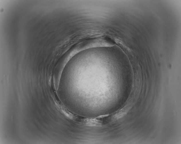 X0000084040528200702161437