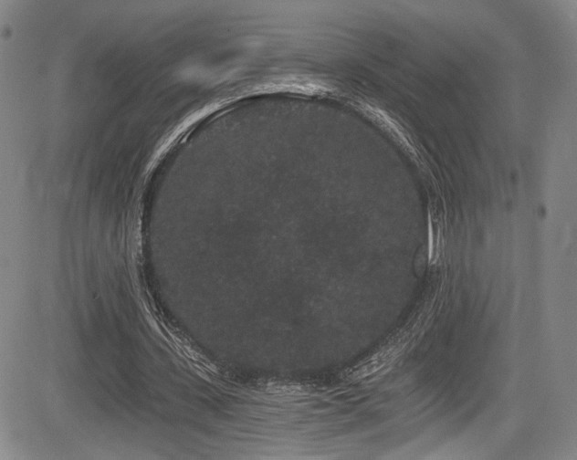 X0000084040531200702161437