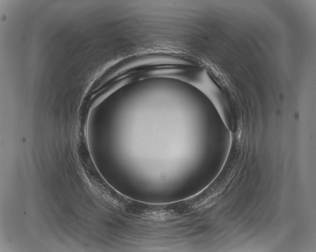 X0000084040540200702161437