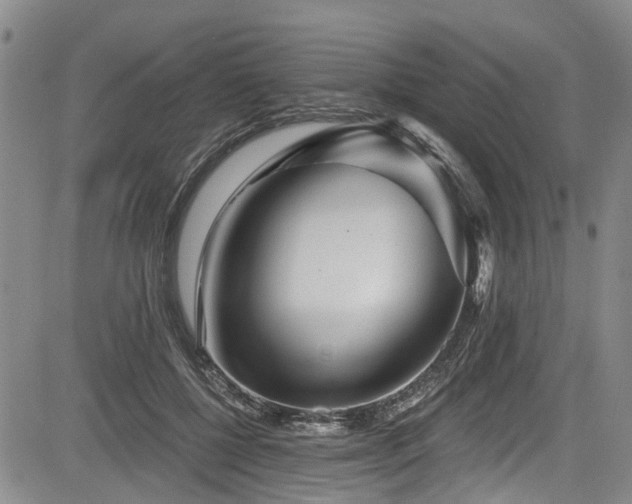 X0000084040552200702161437