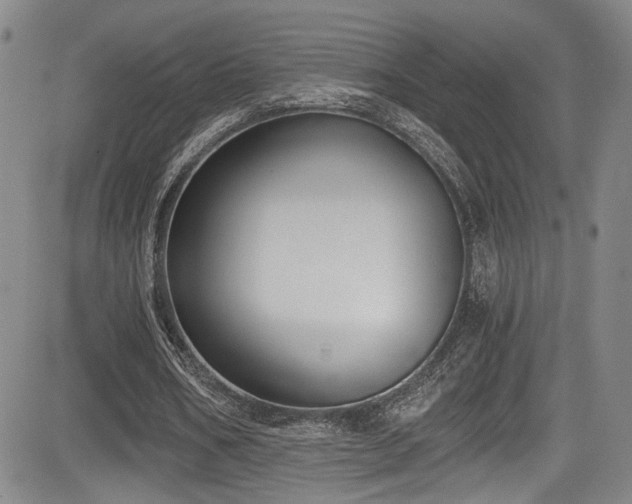 X0000084040578200702161437