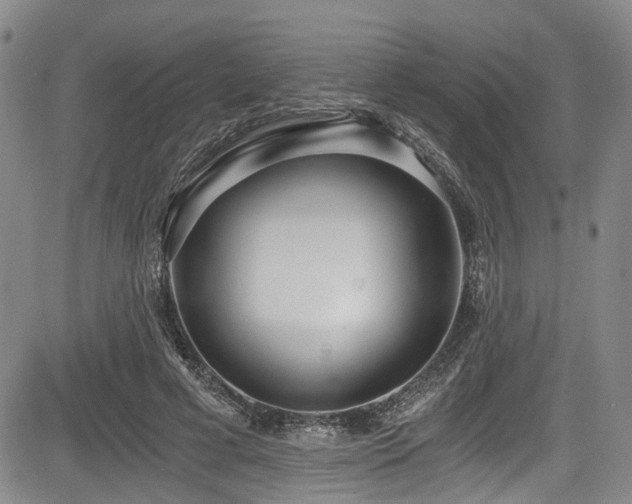 X0000084040593200702161436