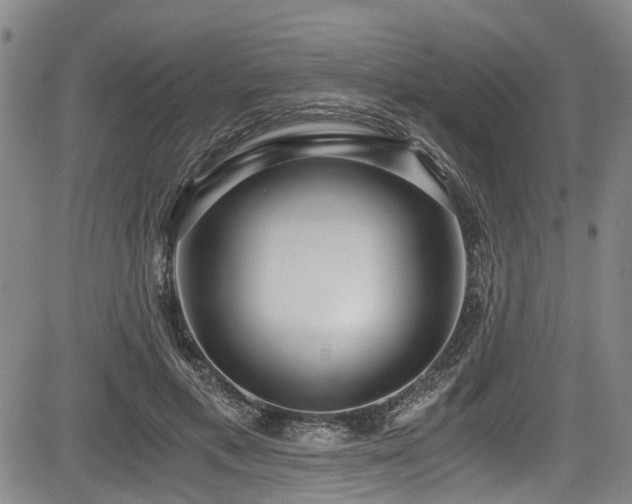 X0000084040597200702161436