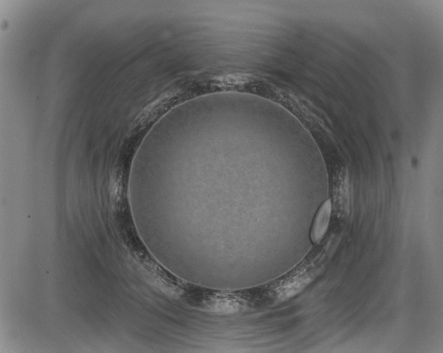 X0000084040608200702161436