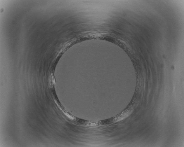 X0000084040624200702161436