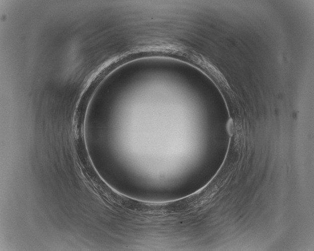 X0000084040628200702161435