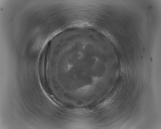 X0000084040630200702161435