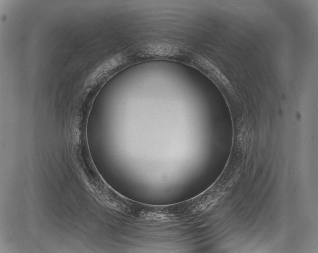 X0000084040635200702161435