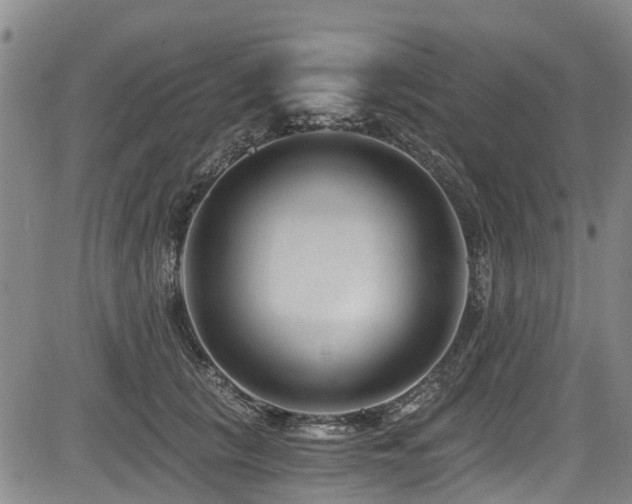 X0000084040657200702161436