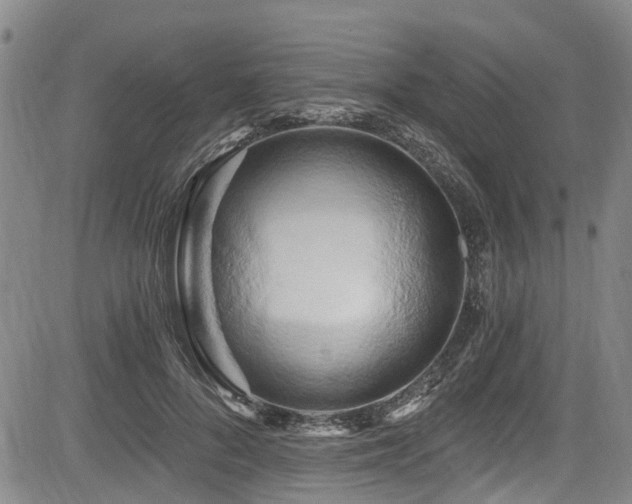 X0000084040696200702161435