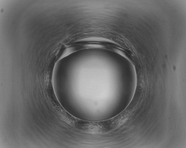 X0000084040697200702161435