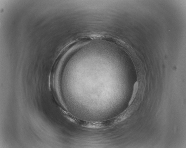 X0000084040720200702161434