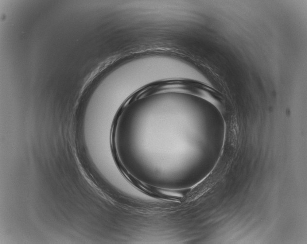 X0000084040734200702161434