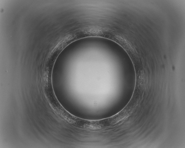 X0000084040739200702161434