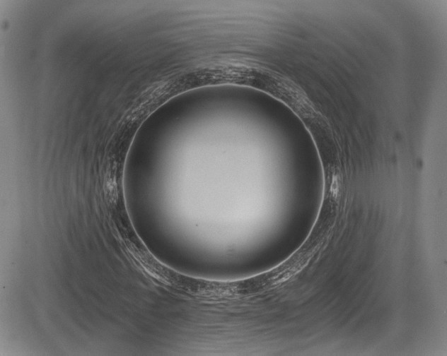 X0000084040771200702161433