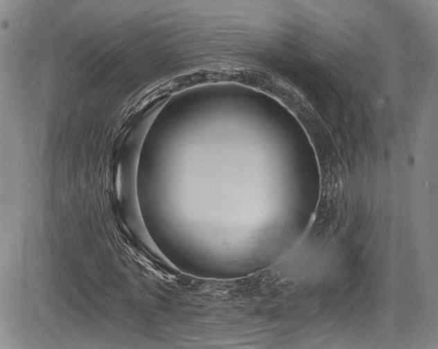 X0000084040773200702161433