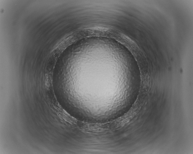 X0000084040774200702161433