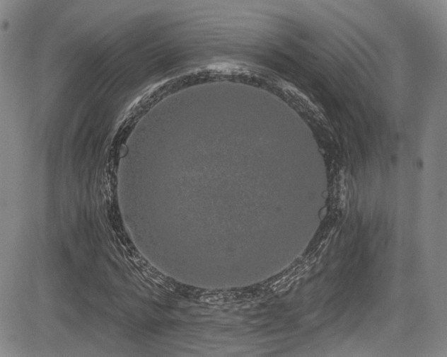 X0000084040776200702161433
