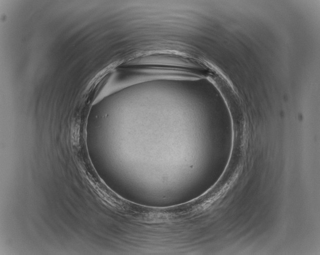 X0000084040777200702161433
