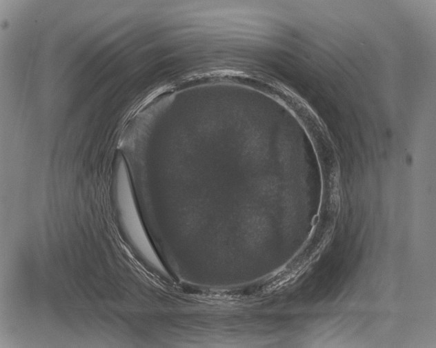 X0000084040785200702161433