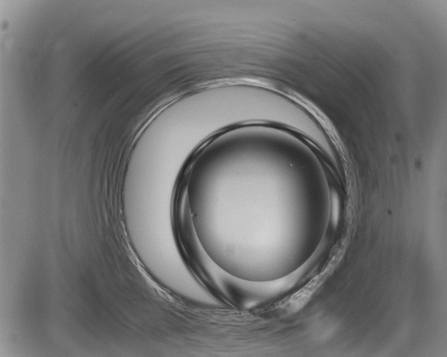X0000084040809200702161433