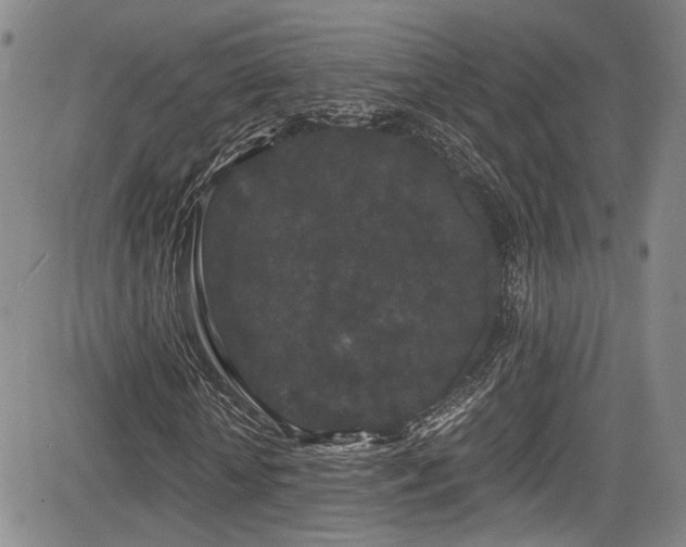 X0000084040818200702161432