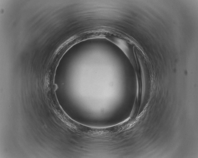 X0000084040826200702161432