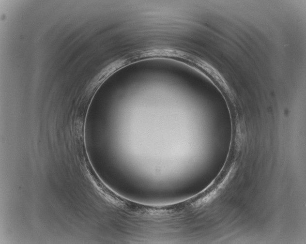 X0000084040849200702161432