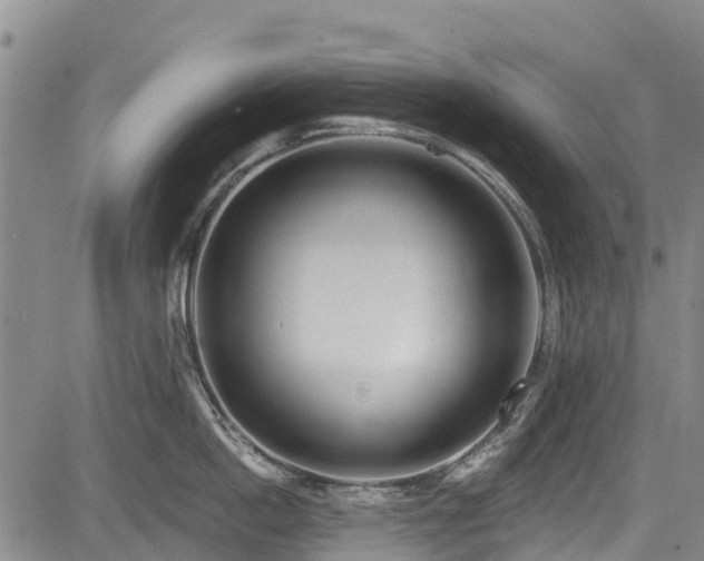 X0000084040862200702161433
