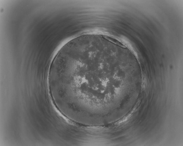X0000084040863200702161433